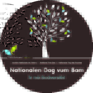 Nationalen Dag vum Bam